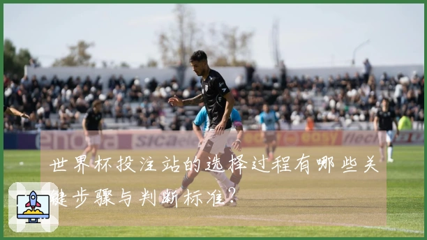 世界杯投注站的选择过程有哪些关键步骤与判断标准？