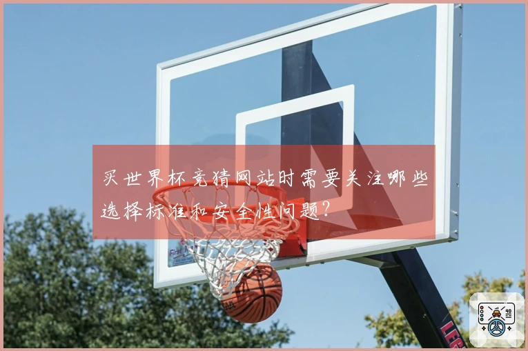 买世界杯竞猜网站时需要关注哪些选择标准和安全性问题？